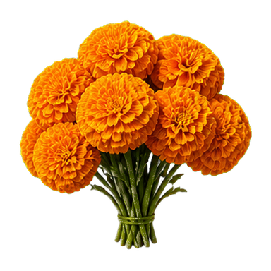 Marigold Afterlife symbol 3